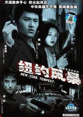 紐約風暴線上看