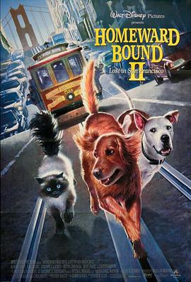 看狗在說話之舊金山歷險記 / Homeward Bound II: Lost in San Francisco線上看