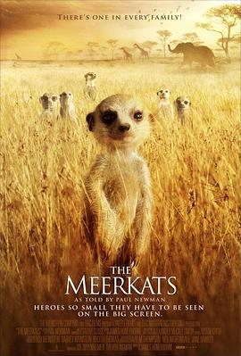 蒙哥 / The Meerkats線上看