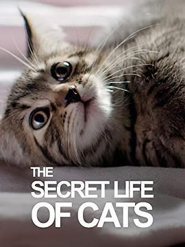 BBC地平線：貓的秘密生活 / Horizon: The Secret Life of the Cat線上看