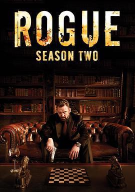 卧底情劫 第二季 / Rogue Season 2線上看