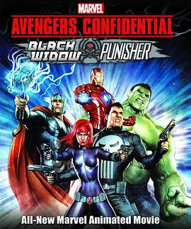 機密復仇者：黑寡婦與懲罰者 / Marvel Avengers Confidential: Black Widow & Punisher線上看