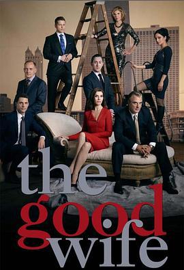 傲骨賢妻 第六季 / The Good Wife Season 6線上看