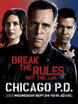 芝加哥警署 第二季 / Chicago P.D. Season 2線上看