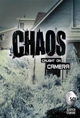 真實一刻 / Chaos Caught On Camera線上看