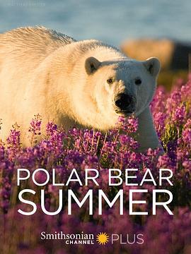 北極熊之夏 / Polar Bear Summer線上看