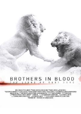 獅王之路 / Brothers in Blood: The Lions of Sabi Sand線上看