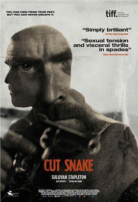 斬蛇 / Cut Snake線上看