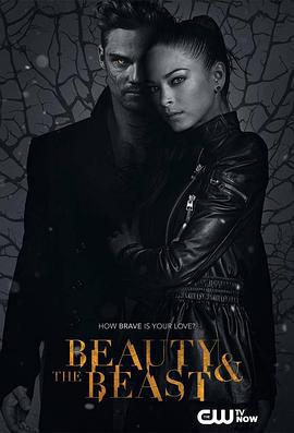 俠膽雄獅 第三季 / Beauty and the Beast Season 3線上看