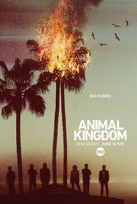 野獸家族 第一季 / Animal Kingdom Season 1線上看