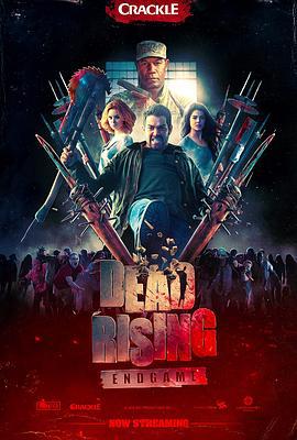 喪屍圍城：終結篇 / Dead Rising: Endgame線上看