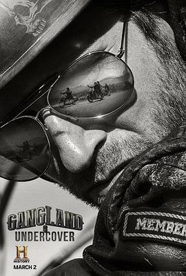 黑幫卧底 第二季 / Gangland Undercover Season 2線上看