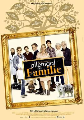 家庭之路 / Allemaal Familie線上看