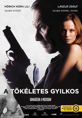 正義狙擊 / A tökéletes gyilkos線上看