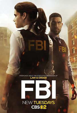 聯邦調查局 第一季 / FBI Season 1線上看