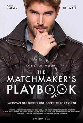 媒人手冊 / The Matchmaker's Playbook線上看