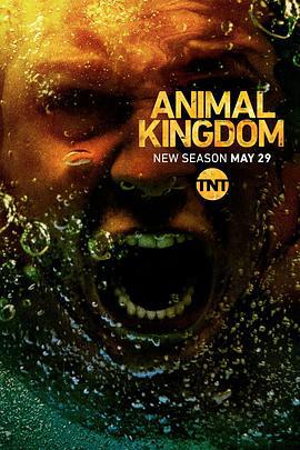 野獸家族 第三季 / Animal Kingdom Season 3線上看