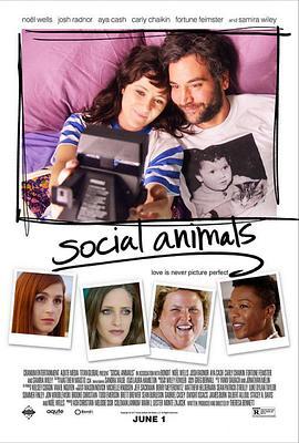 社交動物 / Social Animals線上看