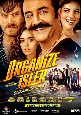 有組織的工作 / Organize Isler: Sazan Sarmali線上看