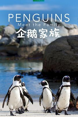 企鵝家族 / Penguins: Meet the Family線上看