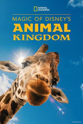 迪士尼動物王國 第一季 / Magic of Disney's Animal Kingdom Season 1線上看