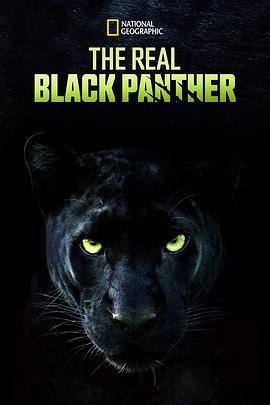 真黑豹無雙 / The Real Black Panther線上看