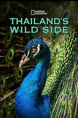狂野泰國 / Thailand's Wild Side線上看