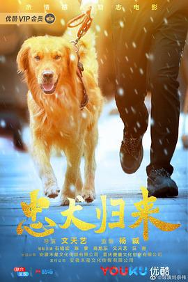 忠犬歸來線上看