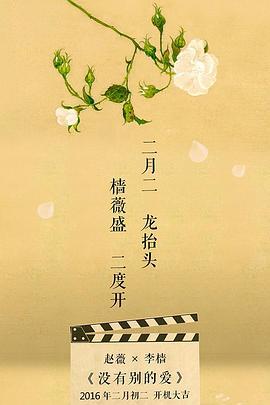 沒有別的愛線上看