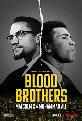 生死之交：馬爾科姆·X與拳王阿里 / Blood Brothers: Malcolm X & Muhammad Ali線上看