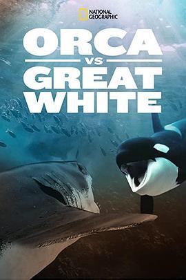 虎鯨對上大白鯊 / Orca vs. Great White線上看