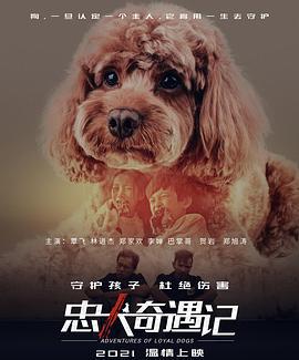 忠犬奇遇記線上看