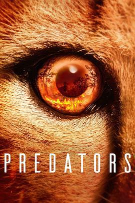 食肉動物 / Predators線上看