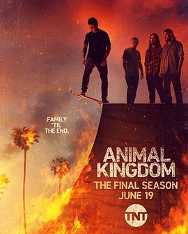 野獸家族 第六季 / Animal Kingdom Season 6線上看