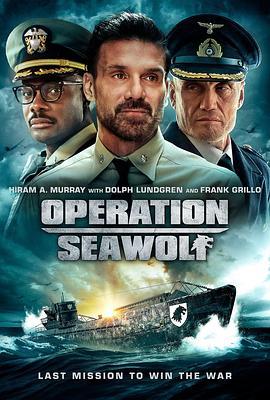 海狼行動 / Operation Seawolf線上看