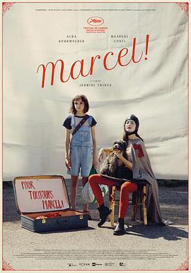 馬賽爾 / Marcel!線上看
