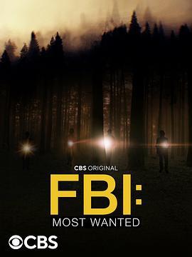 聯邦調查局：通緝要犯 第四季 / FBI: Most Wanted Season 4線上看