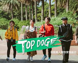 TOP DOG線上看