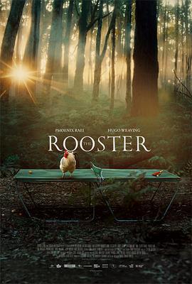 公雞 / The Rooster線上看