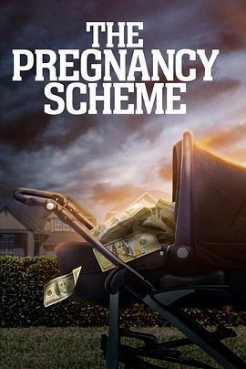 The Pregnancy Scheme線上看