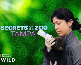 動物園秘辛：坦帕灣 第四季 / Secrets of the Zoo: Tampa Season 4線上看
