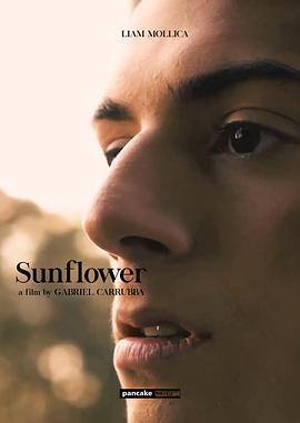 向日葵 / Sunflower線上看