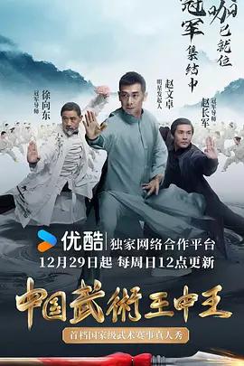 中國武術王中王線上看