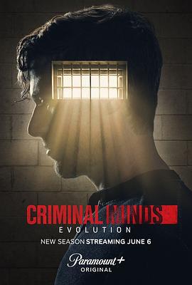 犯罪心理：演變 第十七季 / Criminal Minds: Evolution Season 17線上看