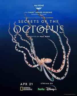 章魚的秘密 / Secrets of the Octopus線上看