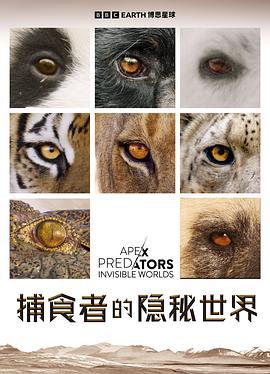 捕食者的隱秘世界 / Apex Predators: Invisible Worlds線上看