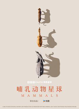 哺乳動物星球 / Mammals線上看