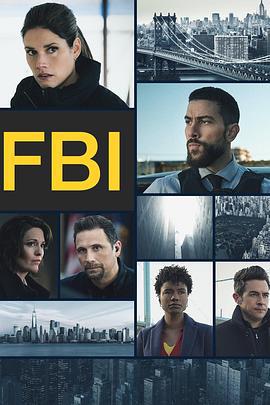 聯邦調查局 第六季 / FBI Season 6線上看