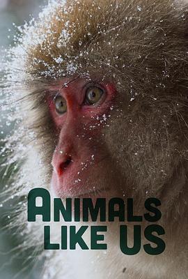 Animals Like Us Season 1線上看