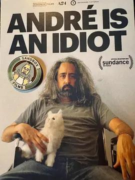 安德烈是個白痴 / Andre is an Idiot線上看